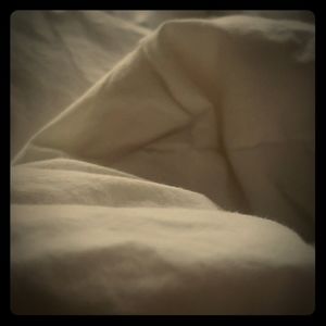 Meet your Posher, Lollie